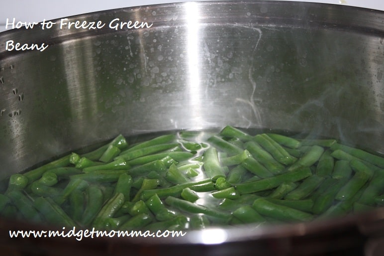 How to Freeze Fresh Green Beans