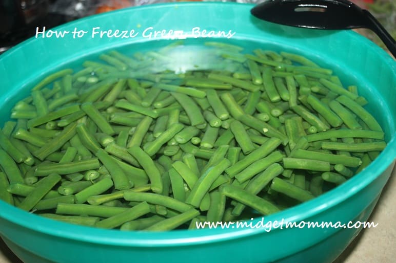 How to Freeze Fresh Green Beans