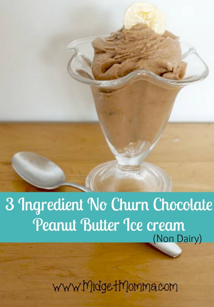 Banana Chocolate Peanut Butter Ice Cream