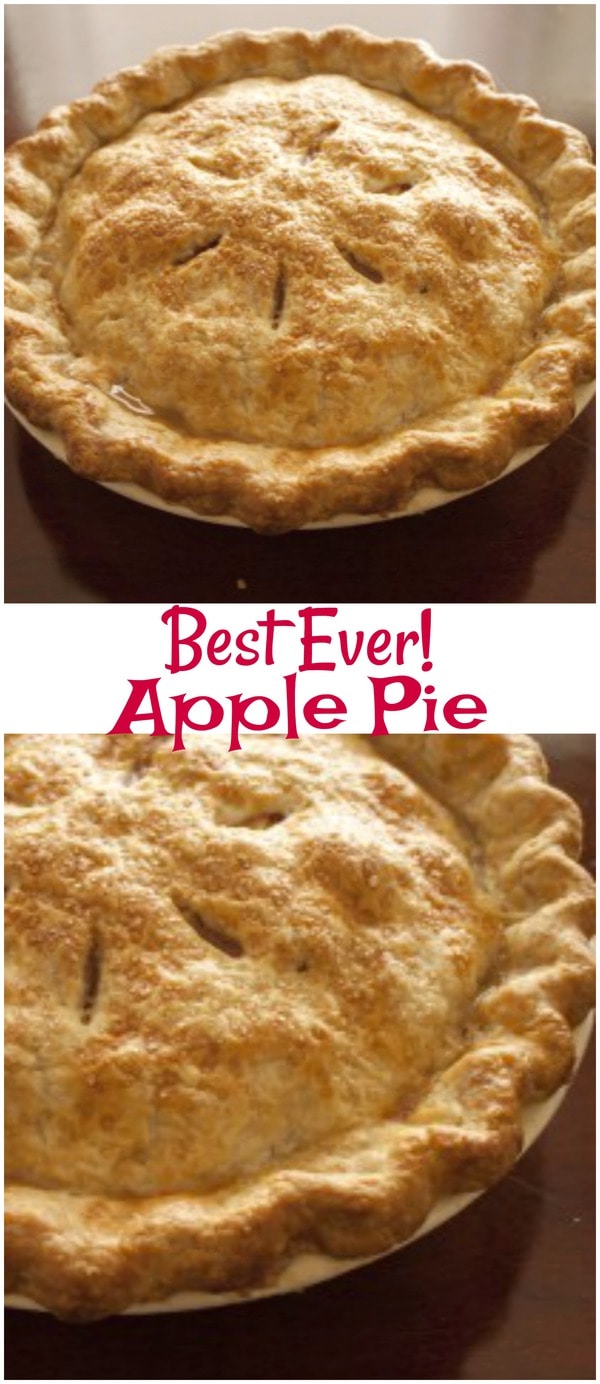 The Best Apple Pie Easy Apple Pie Recipe