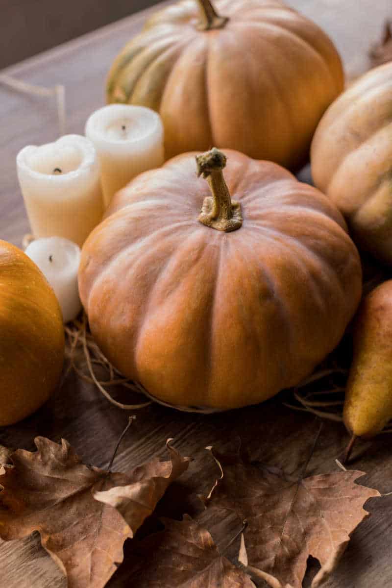 thanksgiving decorations 