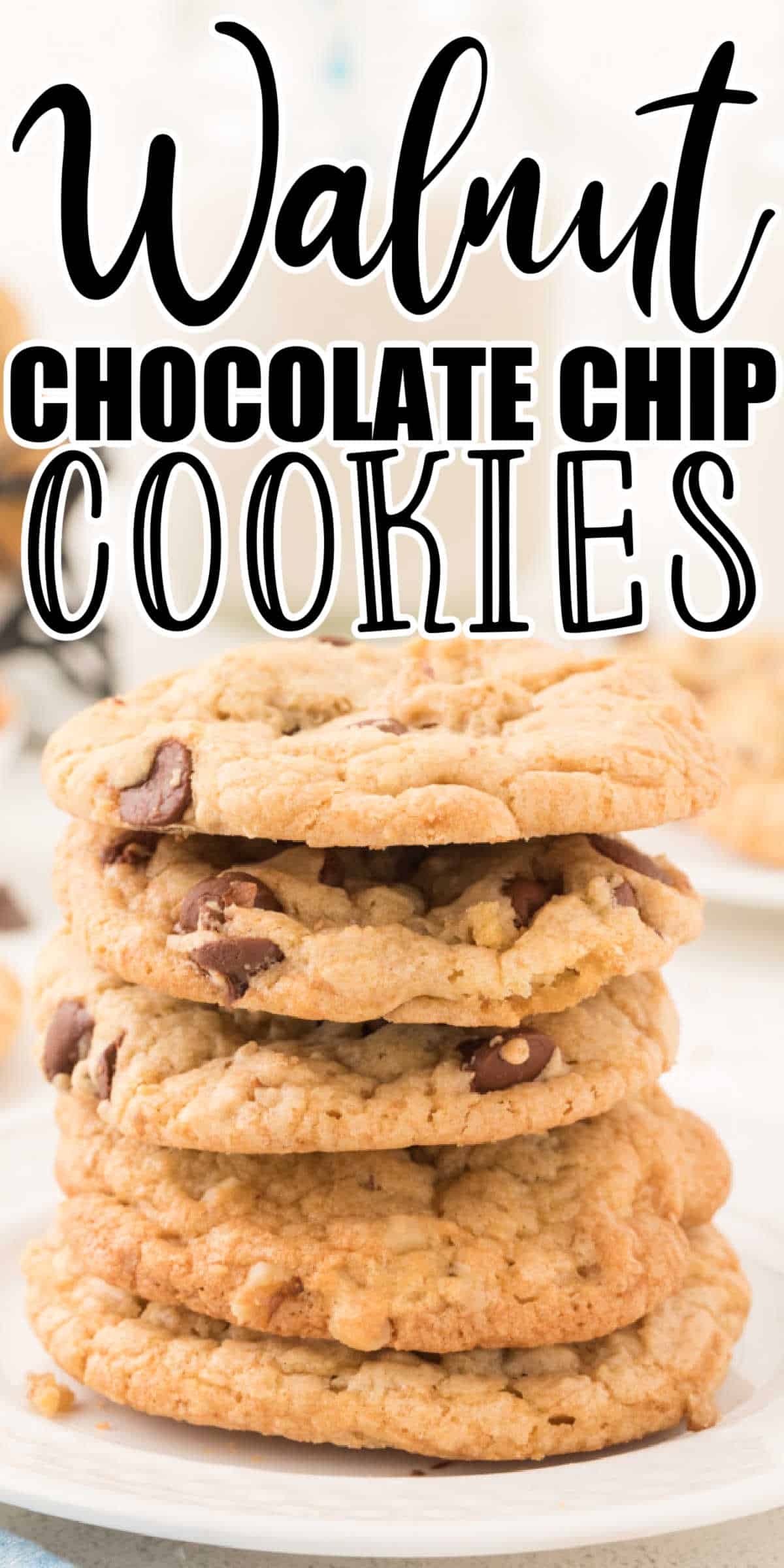 Chewy Walnut Chocolate Chip Cookies Recipes • MidgetMomma