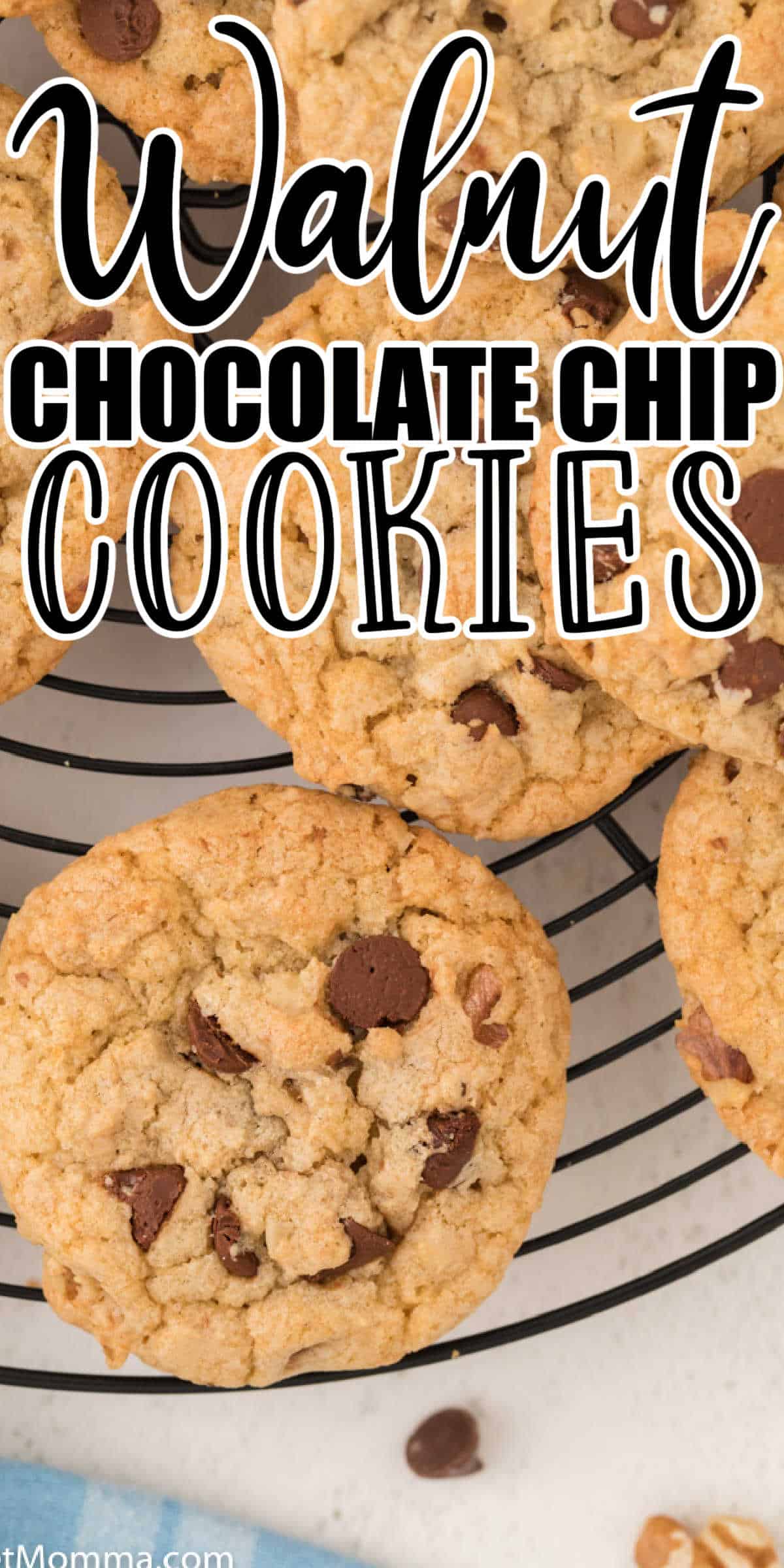 Chewy Walnut Chocolate Chip Cookies Recipes • MidgetMomma