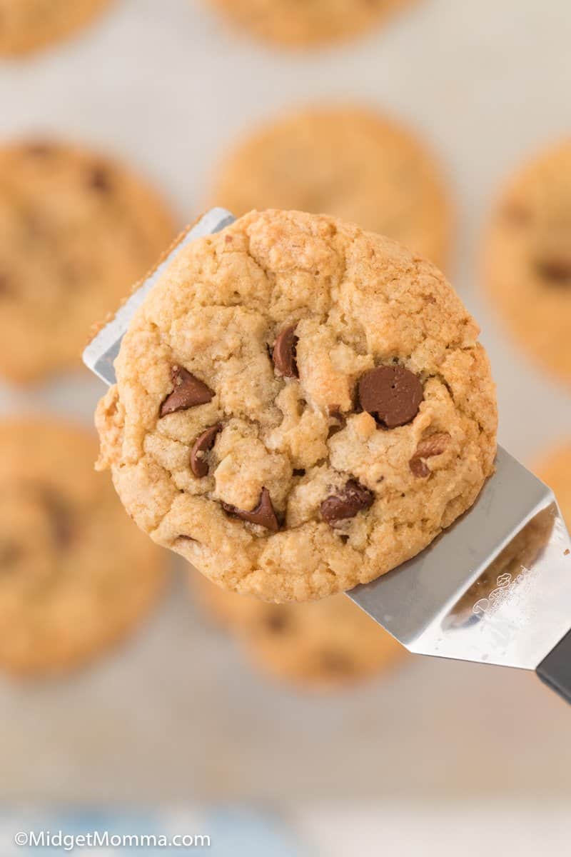 close up photo of Walnut Chocolate Chip Cookies on a spatula