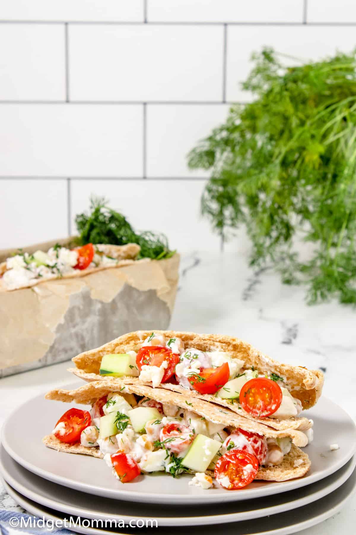 Greek Pita Sandwich