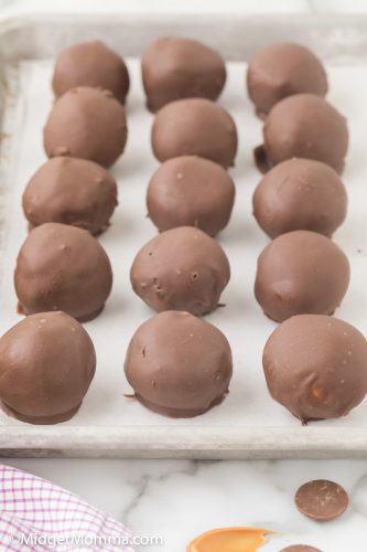 Chocolate Peanut Butter Balls • MidgetMomma