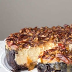 Turtle Cheesecake Recipe