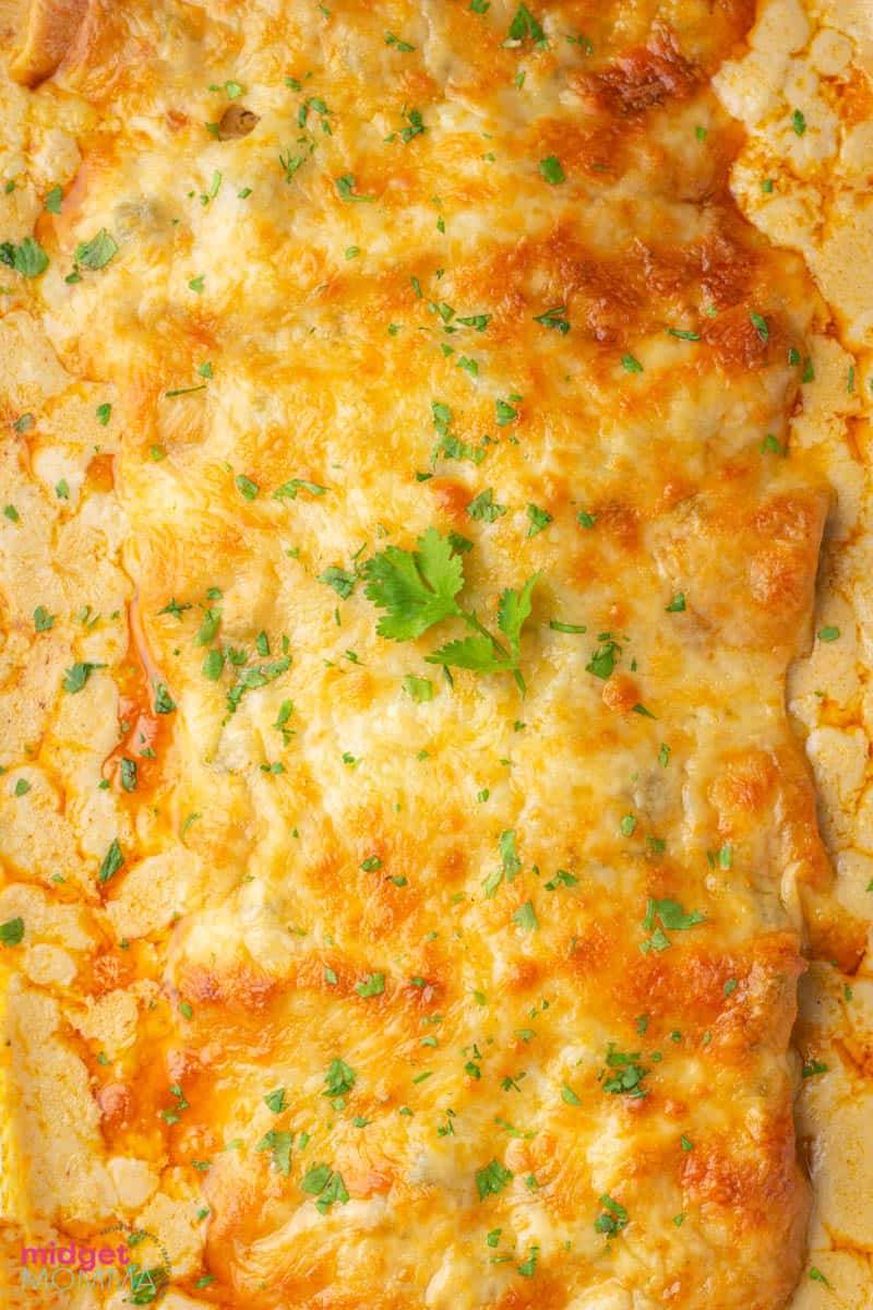 White Chicken Enchiladas in a baking dish