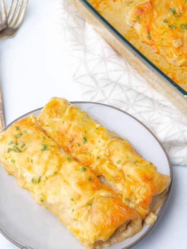 White Chicken Enchiladas • MidgetMomma