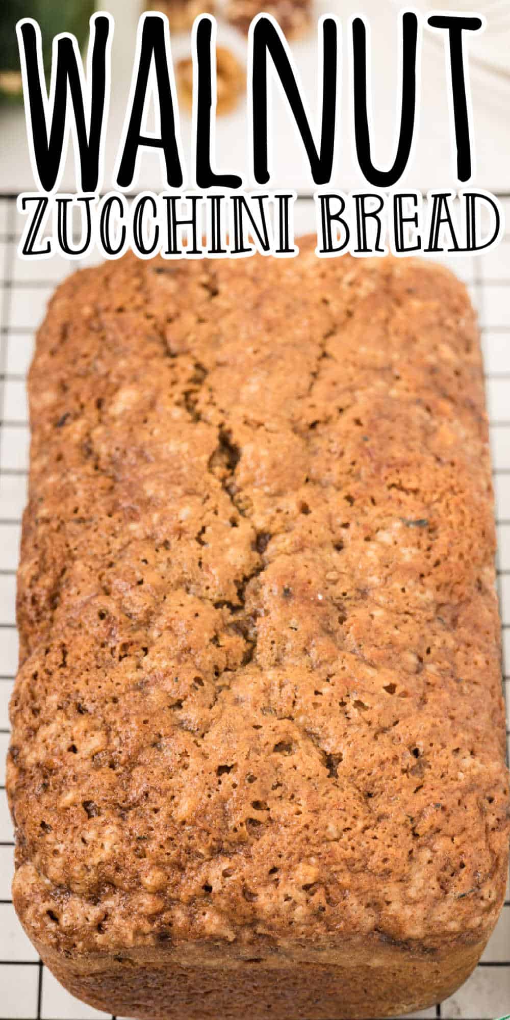 Walnut Zucchini Bread Recipe • MidgetMomma
