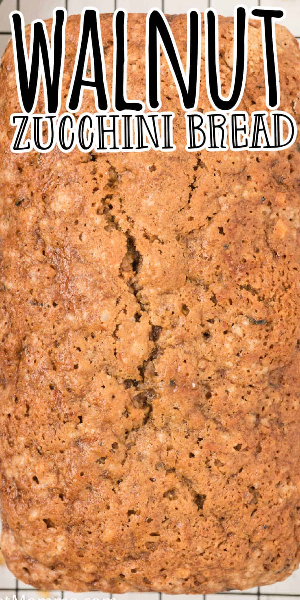Walnut Zucchini Bread Recipe • MidgetMomma
