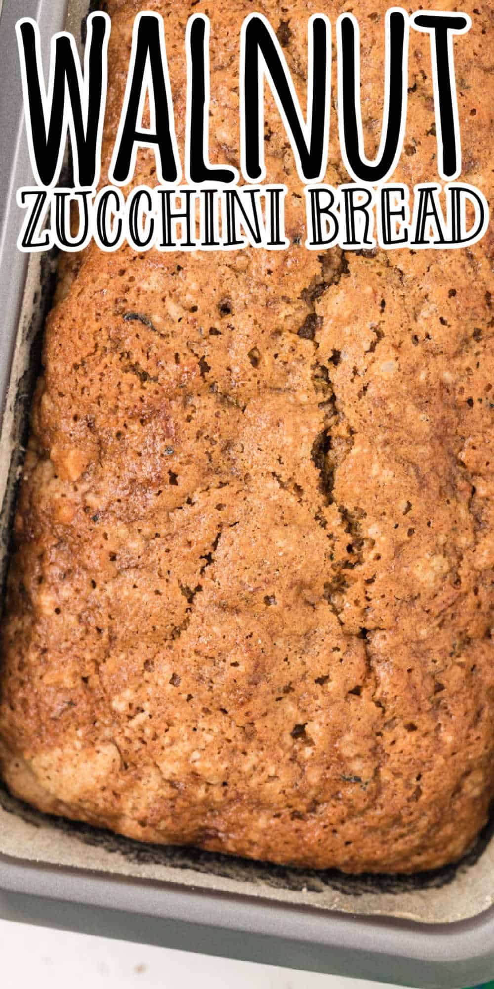 Walnut Zucchini Bread Recipe • MidgetMomma