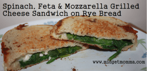 Spinach and Feta are such a great classic combination that it has to be a great sandwich. Than you add some mozzarella cheese for that stringy texture.