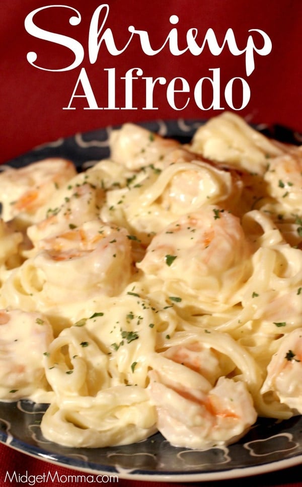 Shrimp Alfredo Recipe With Homemade Alfredo Sauce • MidgetMomma