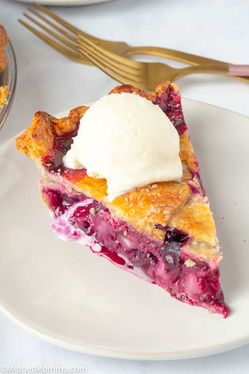 Slice of Blueberry Pie