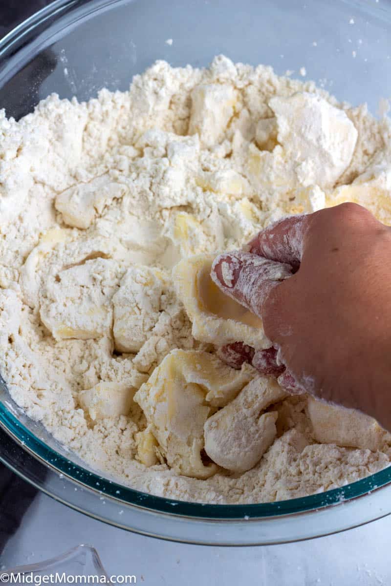 pie crust for Blueberry pie recipe