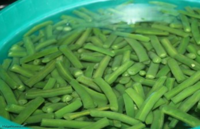 Freezing fresh green beans