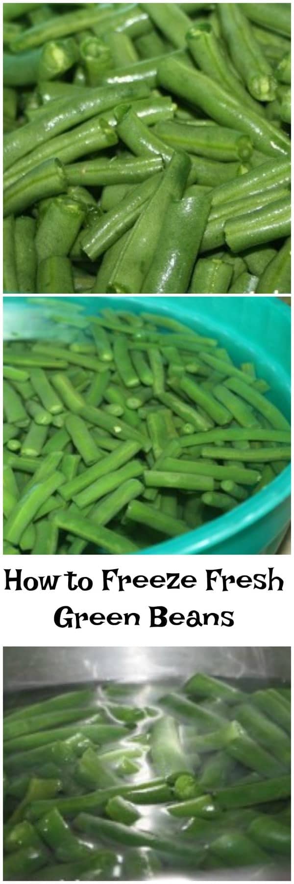 Freezing fresh green beans