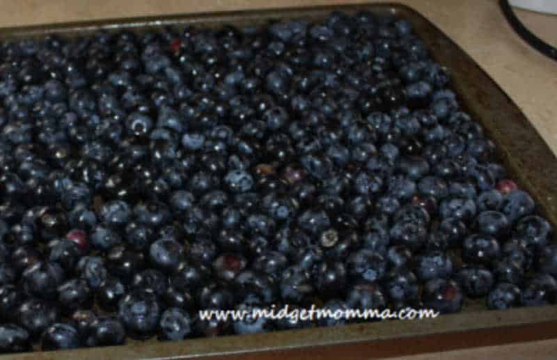 fresh blueberries on a baking sheet