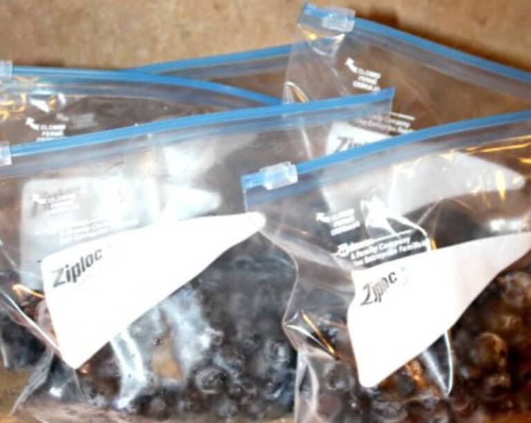 How to Freeze Blueberries (Easy Step By Step Directions) • MidgetMomma