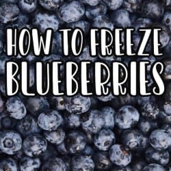 how to freeze blueberries