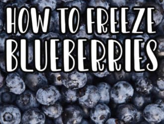how to freeze blueberries