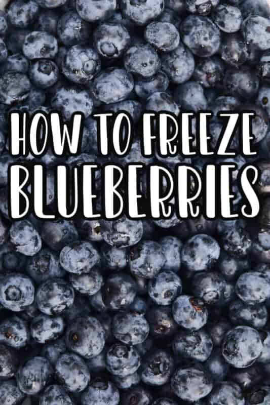 How to Freeze Blueberries (Easy Step By Step Directions) • MidgetMomma