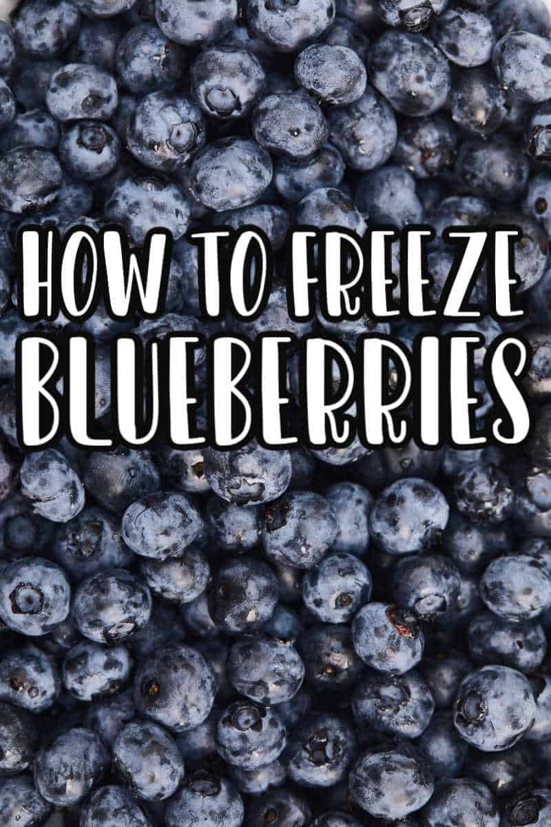 how to freeze blueberries