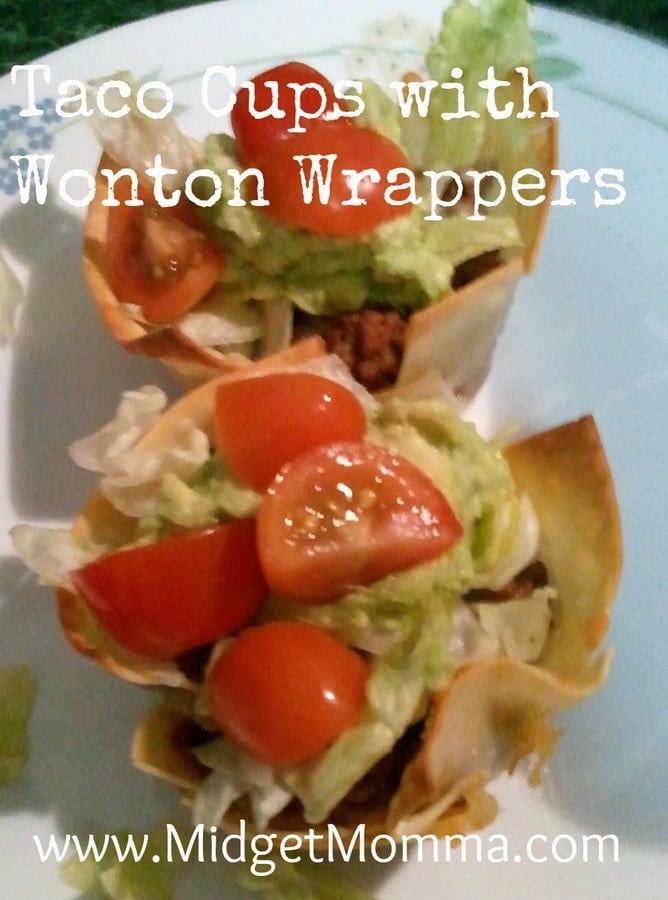 Wonton Wrappers Recipes Food Network Wonton Wrappers Recipes Food Network