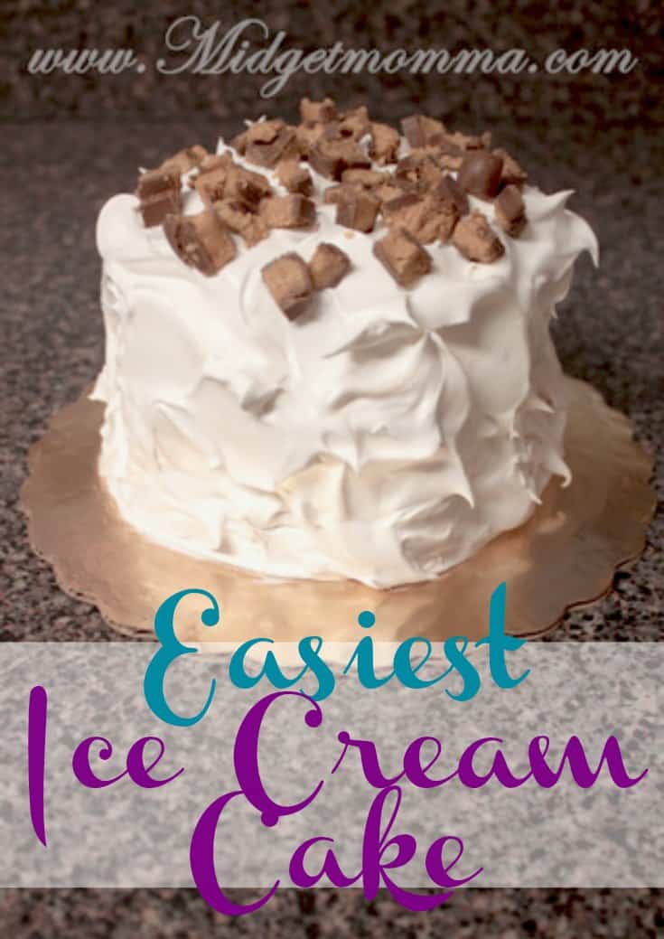 Easiest Ice cream cake recipe. This is the Easiest Ice cream cake you will ever make. You can make this ice cream cake in ANY flavor you want