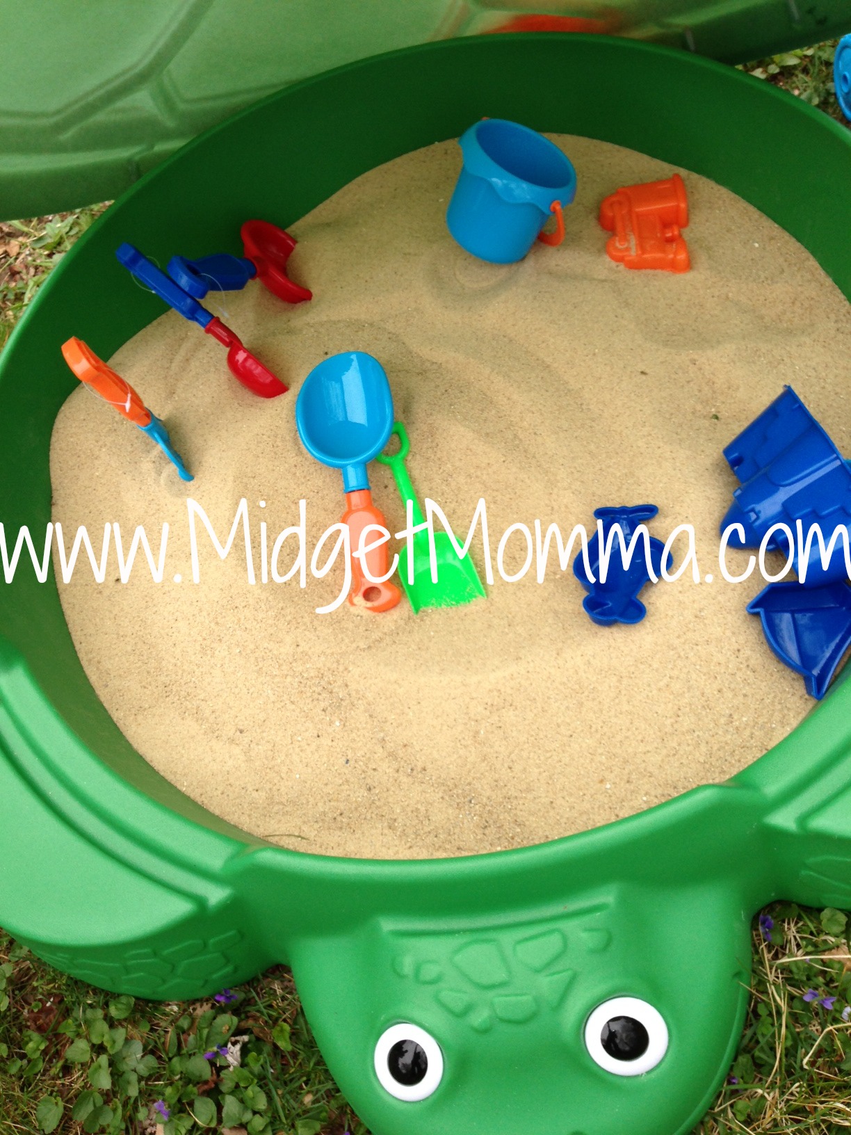 turtle sand boxes