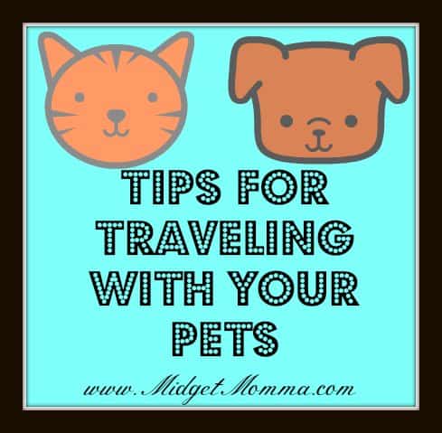 Tips for Traveling with your pets