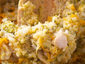 Crockpot Chicken Broccoli and Rice Casserole