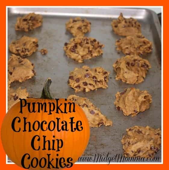 Pumpkin Chocolate Chip Cookies. The BEST Pumpkin Chocolate Chip Cookies EVER! You will never want another cookie after these Pumpkin Chocolate Chip Cookies