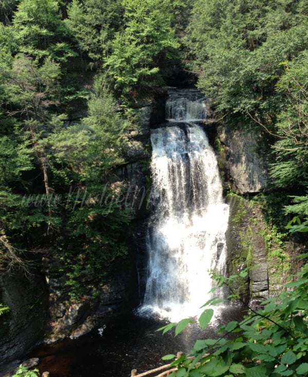 Bushkill Falls Waterfall