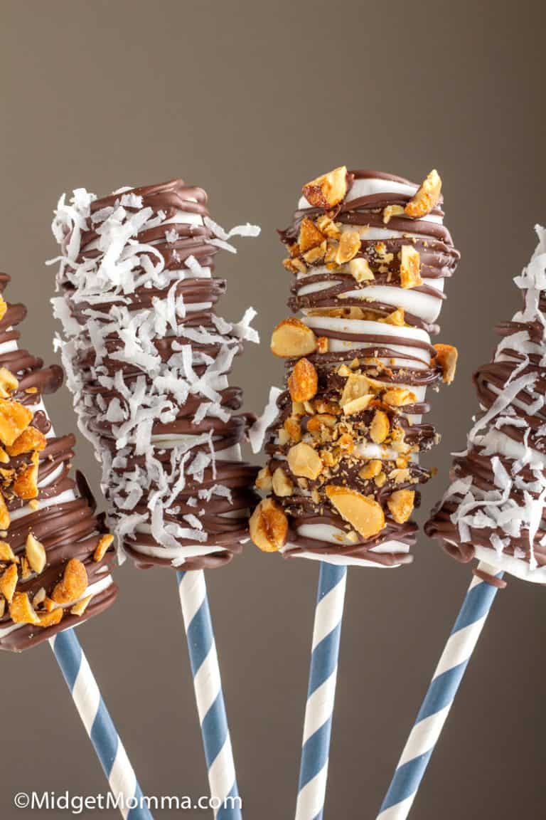 Easy Chocolate Drizzled Marshmallow Pops Recipe