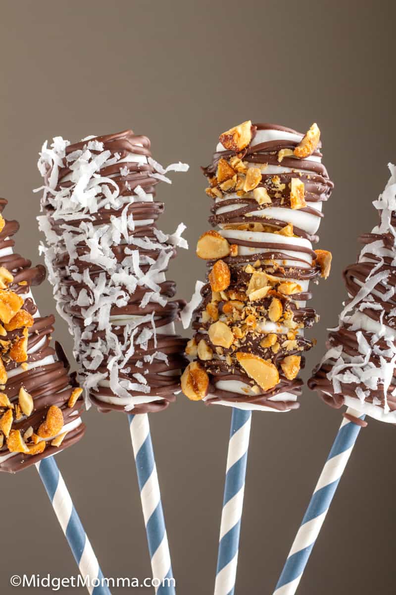 Chocolate Drizzled Marshmallow Pops