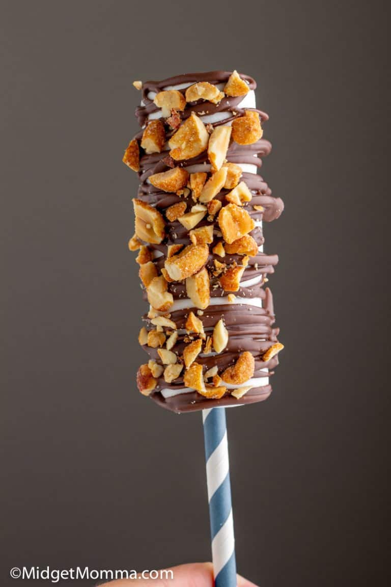 Easy Chocolate Drizzled Marshmallow Pops Recipe