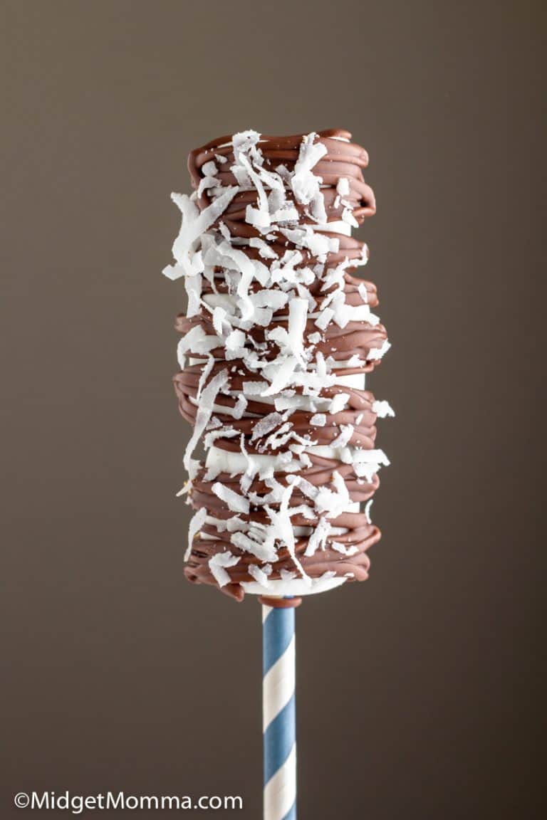Easy Chocolate Drizzled Marshmallow Pops Recipe