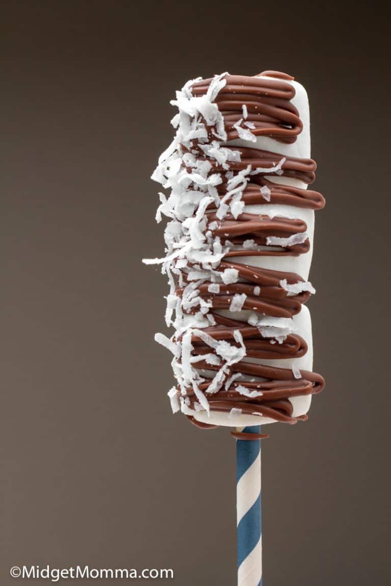 Easy Chocolate Drizzled Marshmallow Pops Recipe