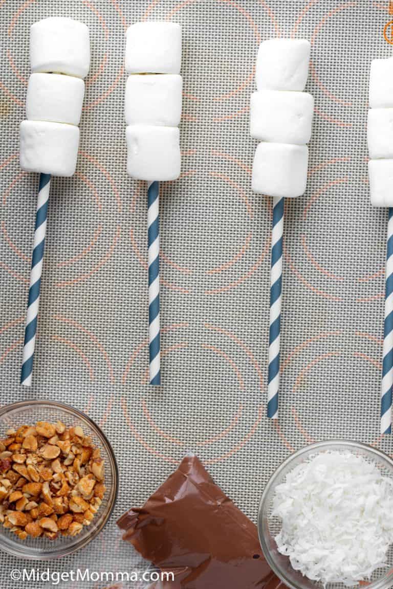 Easy Chocolate Drizzled Marshmallow Pops Recipe