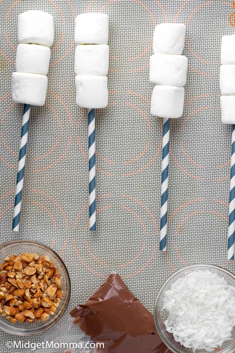 Chocolate Drizzled Marshmallow Pops ingredients