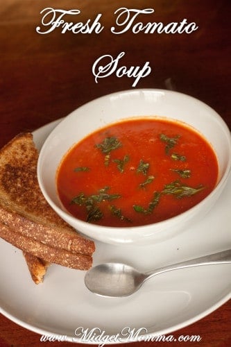 Fresh Tomato Soup