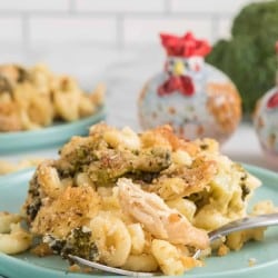 Broccoli Chicken Mac and Cheese on a plate