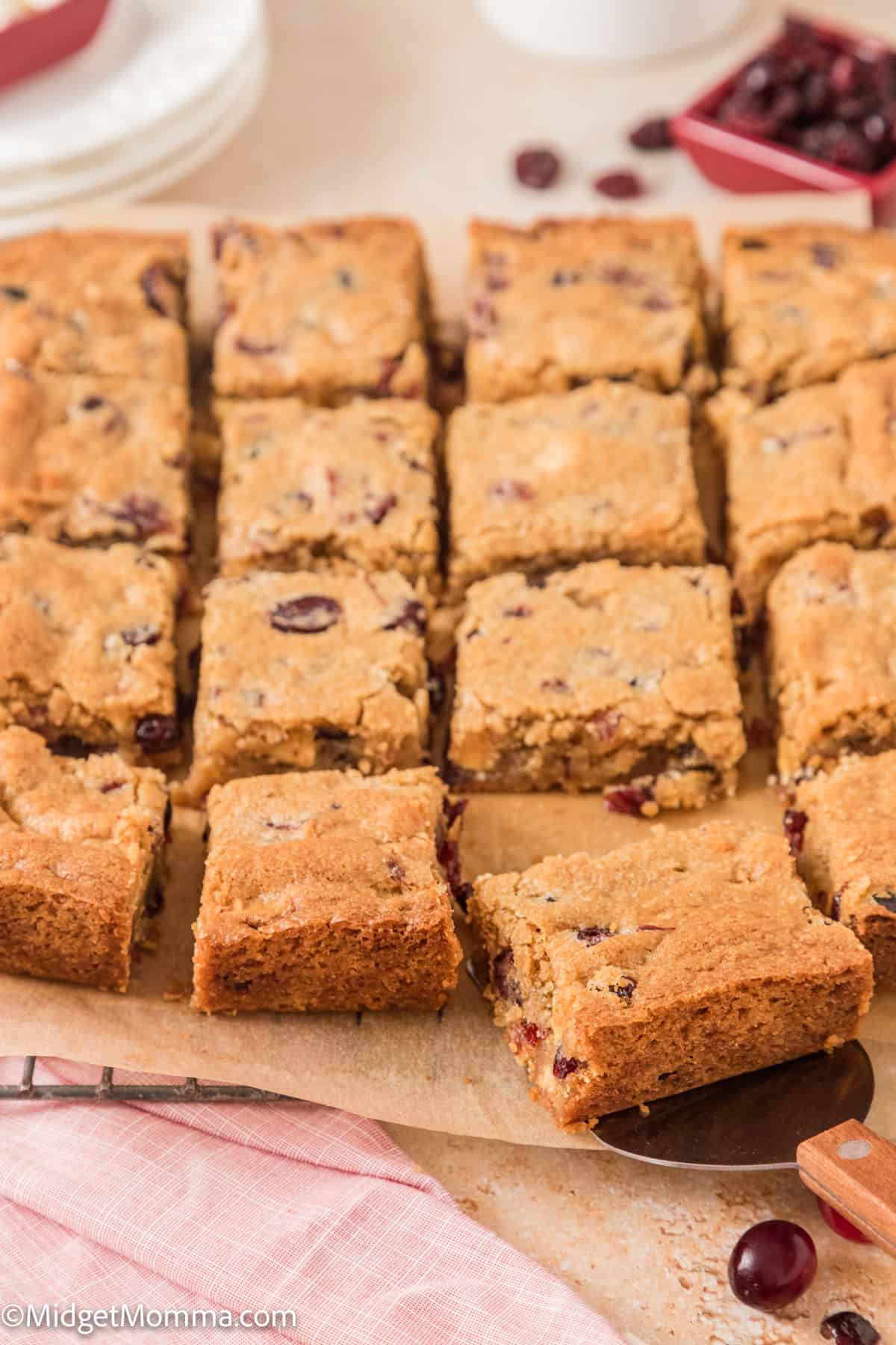 Cranberry white chocolate blondies recipe