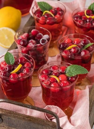 Sparkling Cranberry Punch Recipe