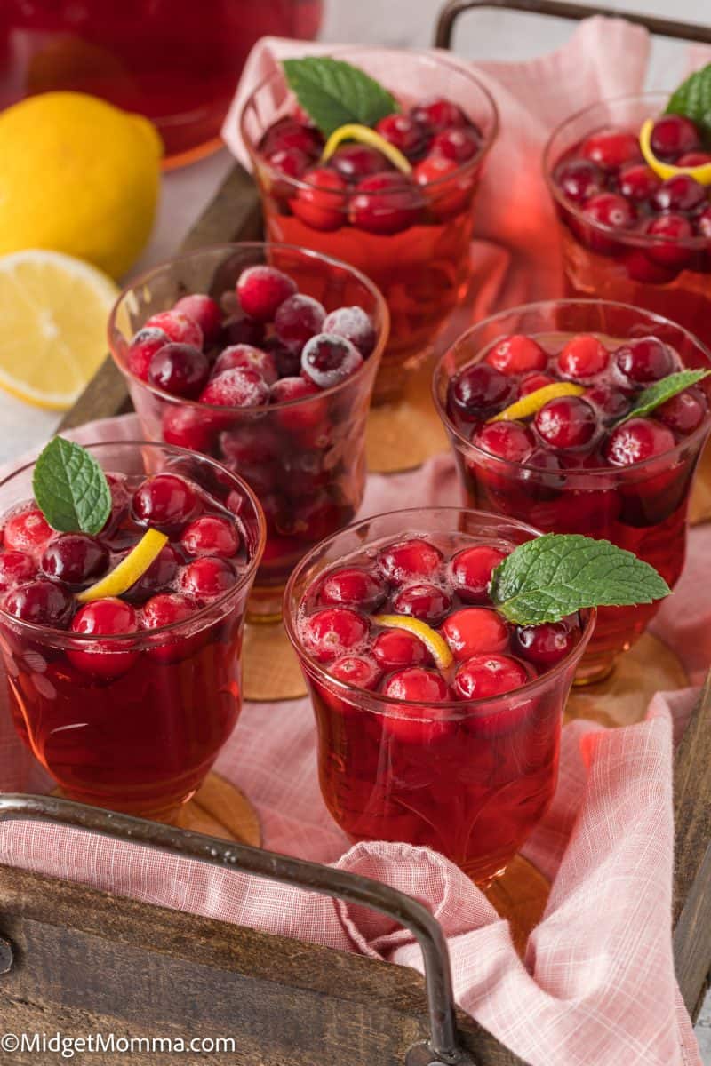 Sparkling Cranberry Punch Recipe