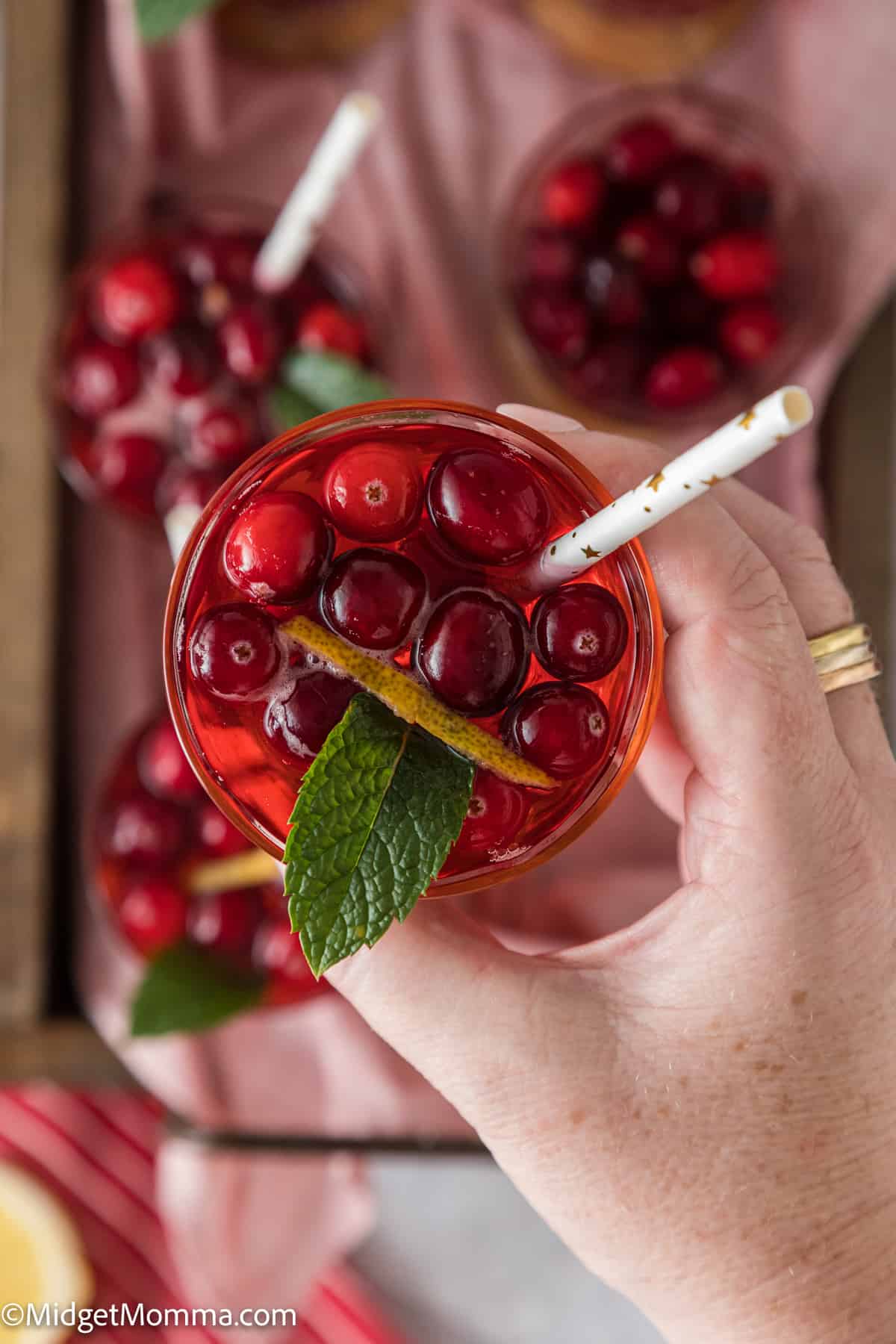 Sparkling Cranberry Punch Recipe