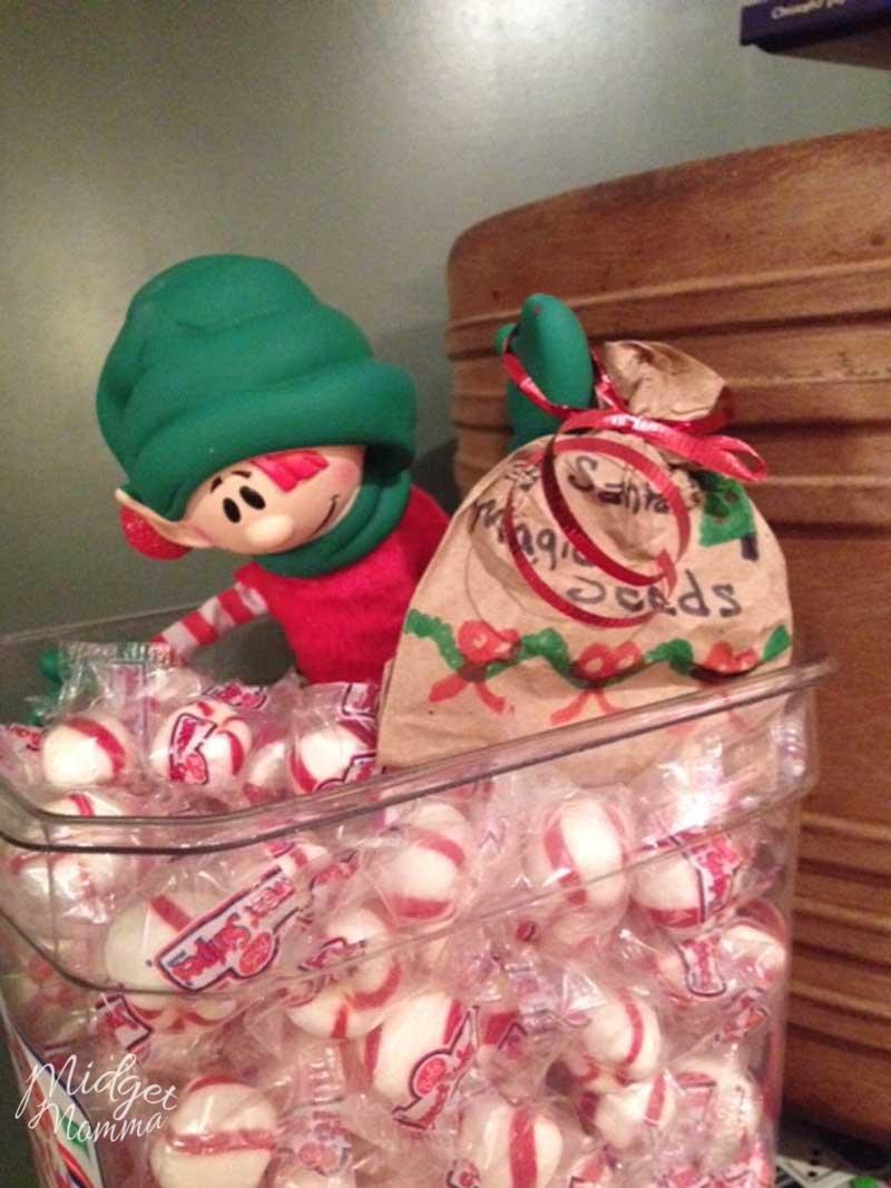 Easy Elf on the Shelf Ideas - elf in the candy jar