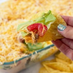 Layered Taco Dip
